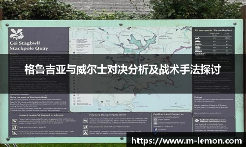 柠檬体育