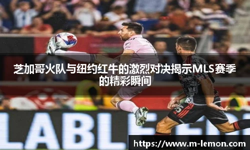 柠檬体育
